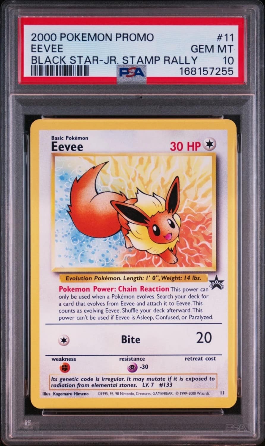 Eevee
