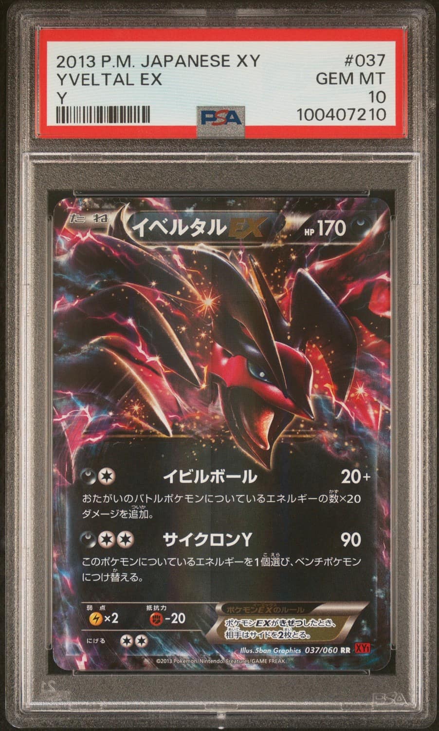 Yveltal Ex