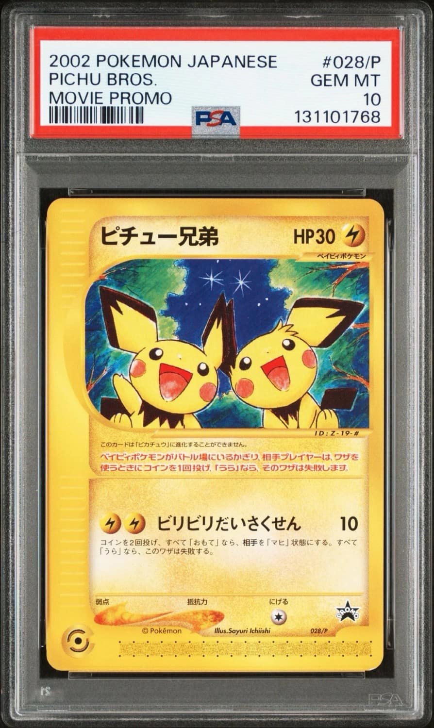 Pichu Bros