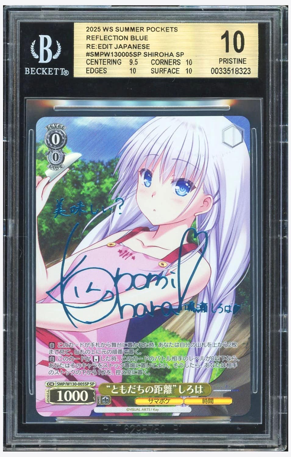 Shiroha Sp