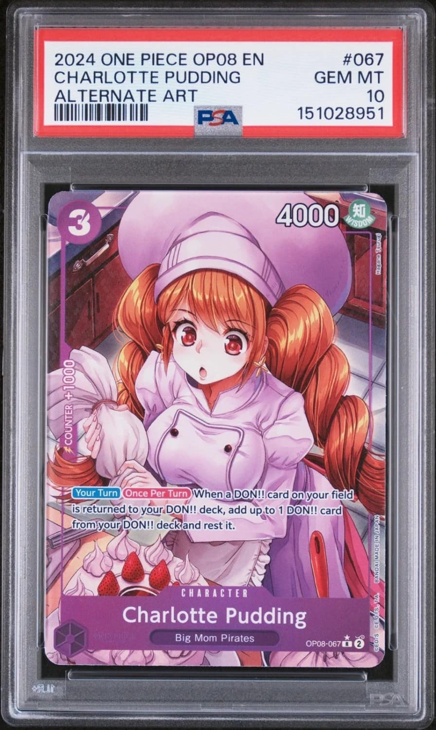 Charlotte Pudding