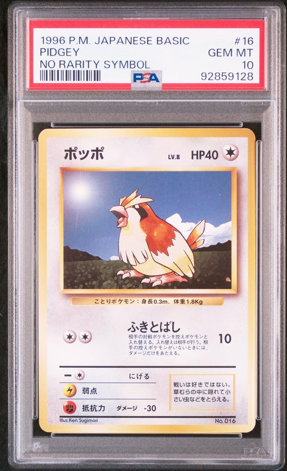 Pidgey