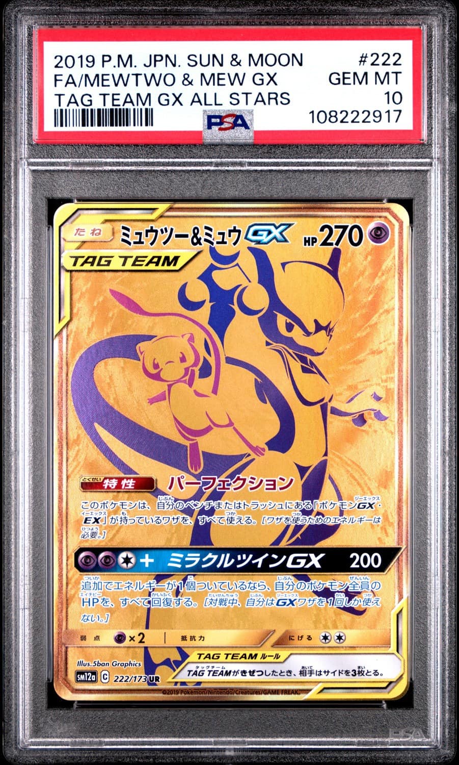 Mewtwo & Mew Gx