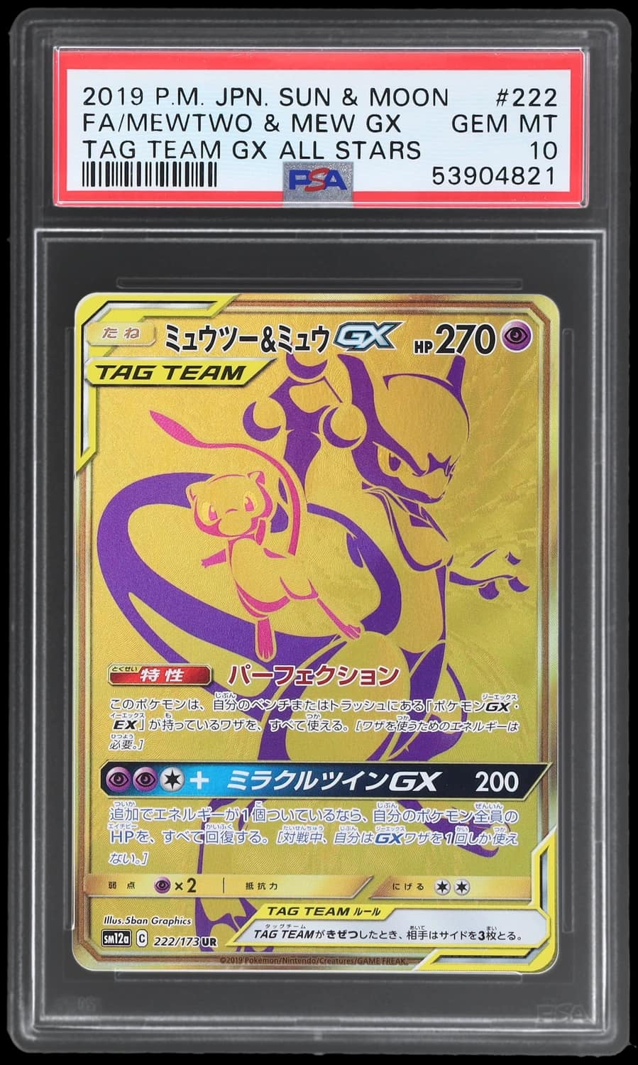 Mewtwo & Mew Gx