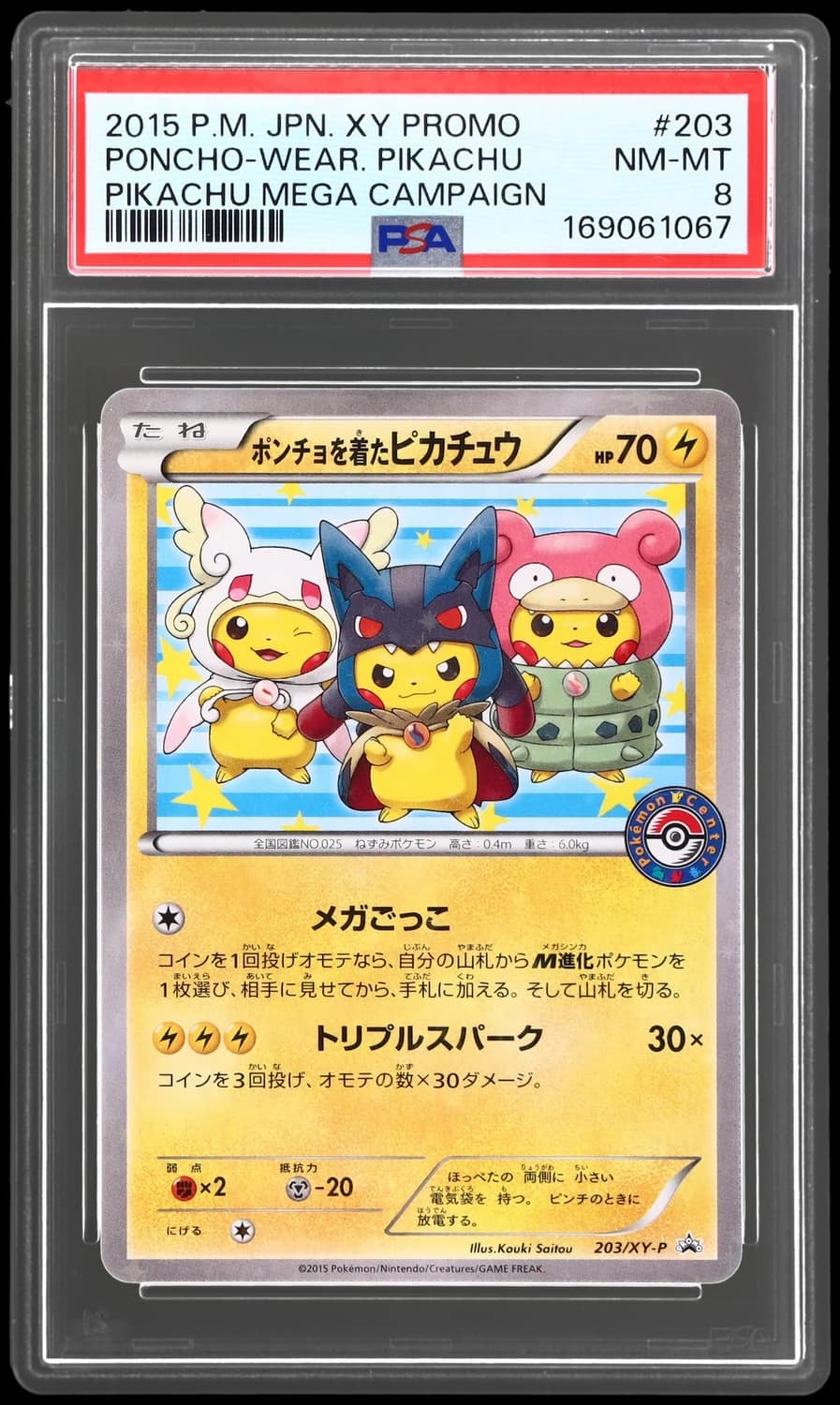 Poncho-Wear Pikachu