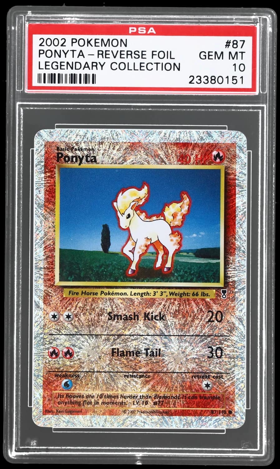 Ponyta