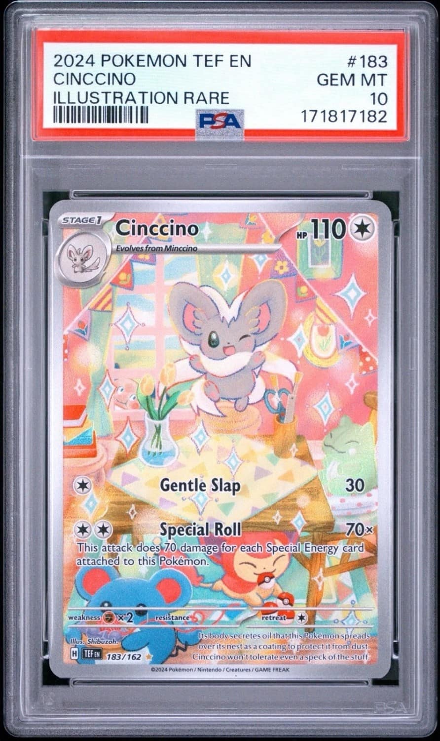 Cinccino