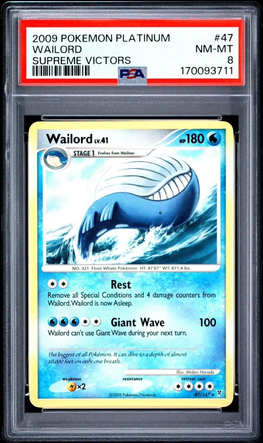 Wailord