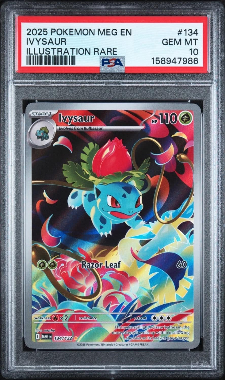 Ivysaur