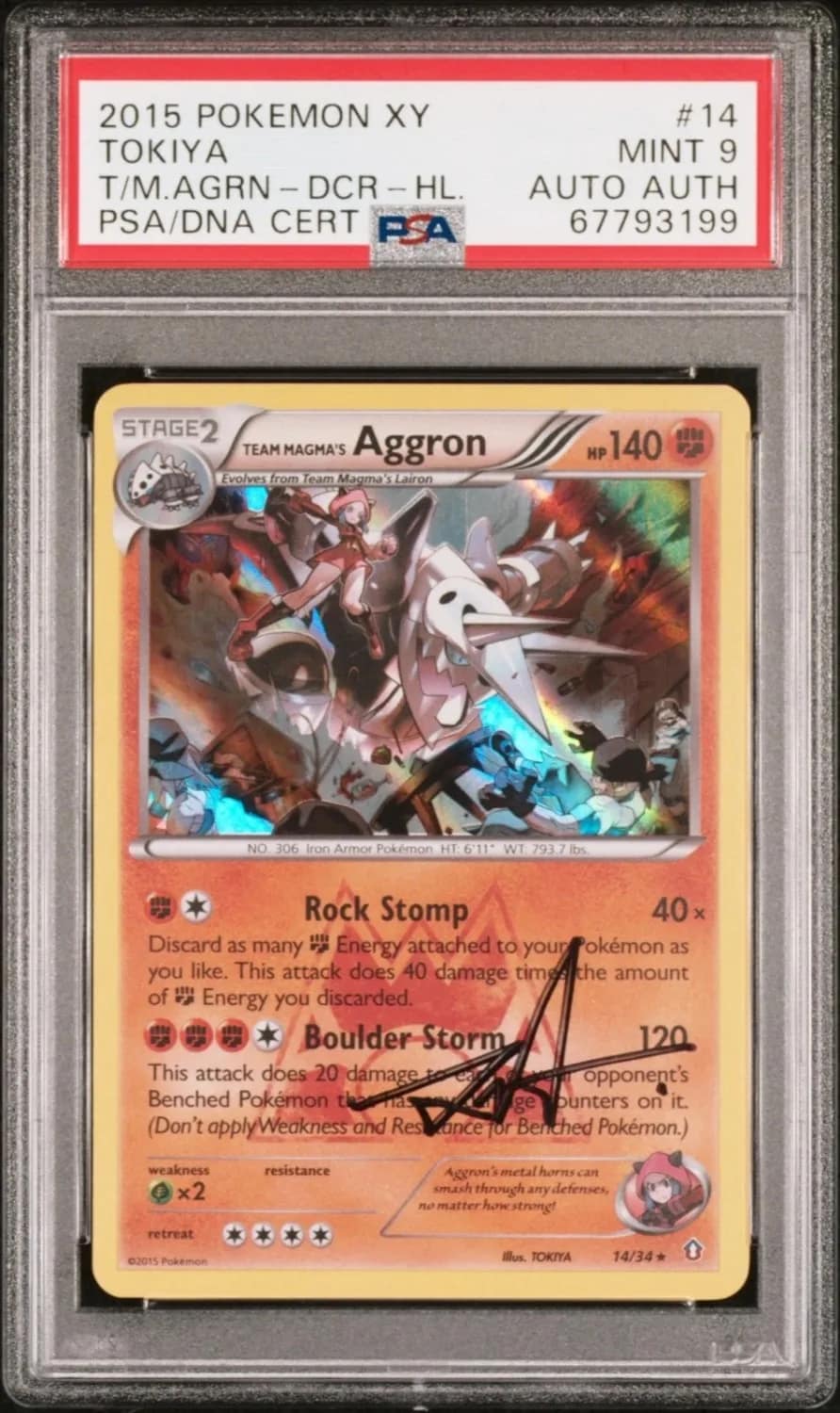 Team Magma'S Aggron
