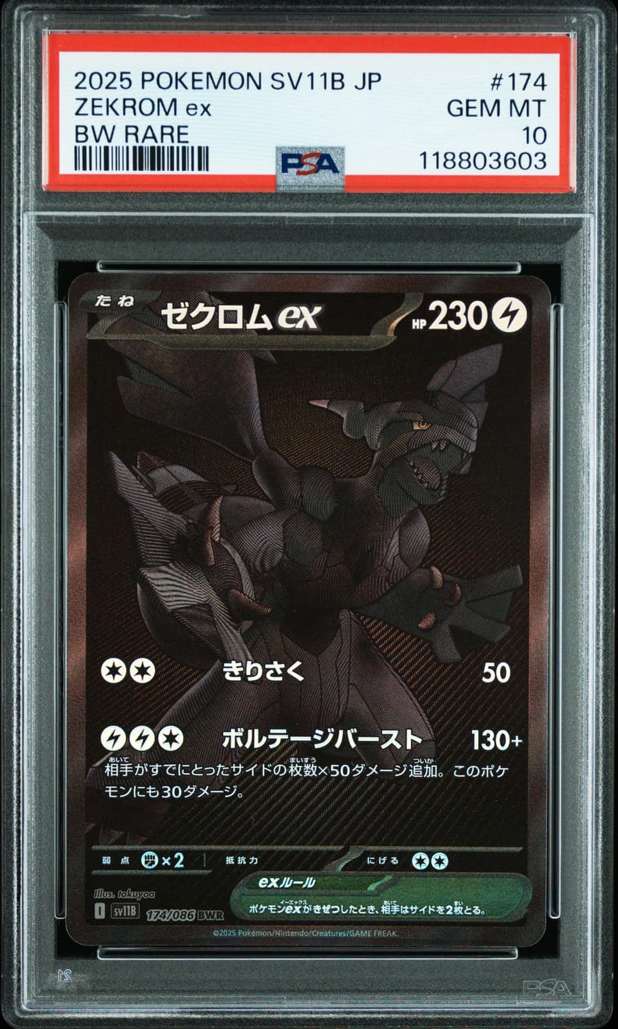 Zekrom Ex