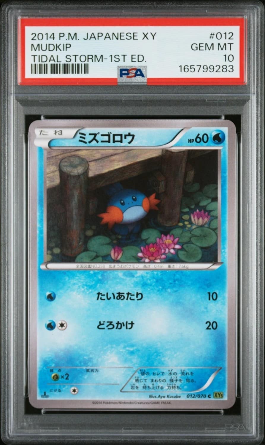 Mudkip