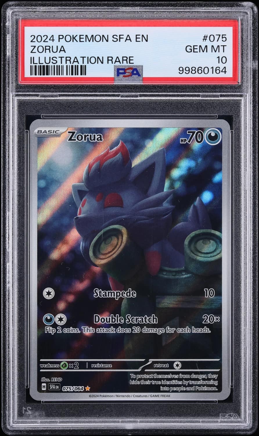 Zorua