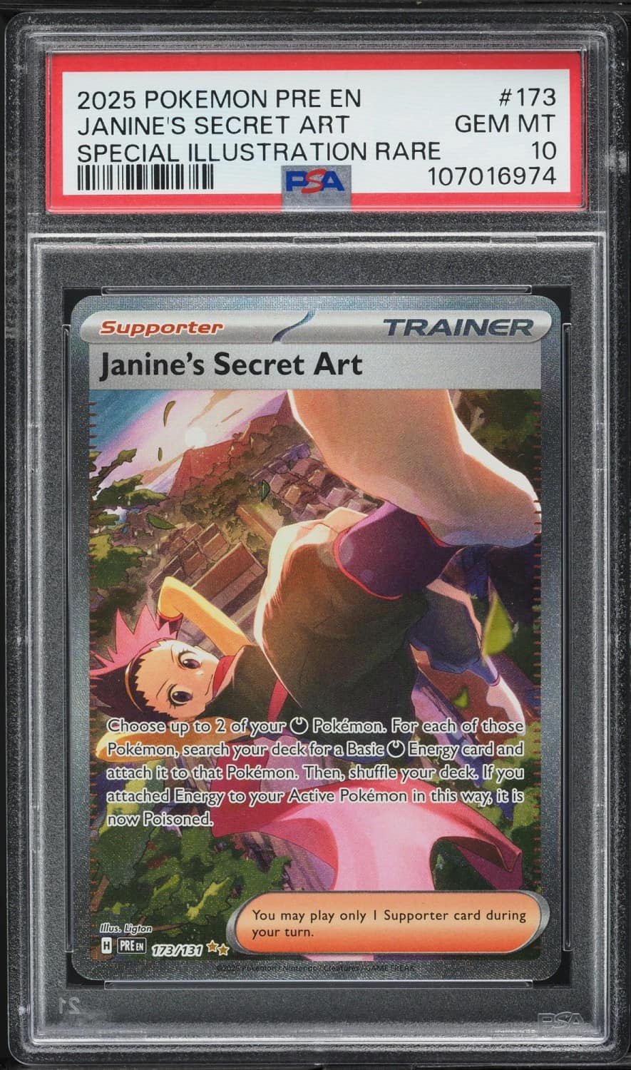Janine'S Secret Art