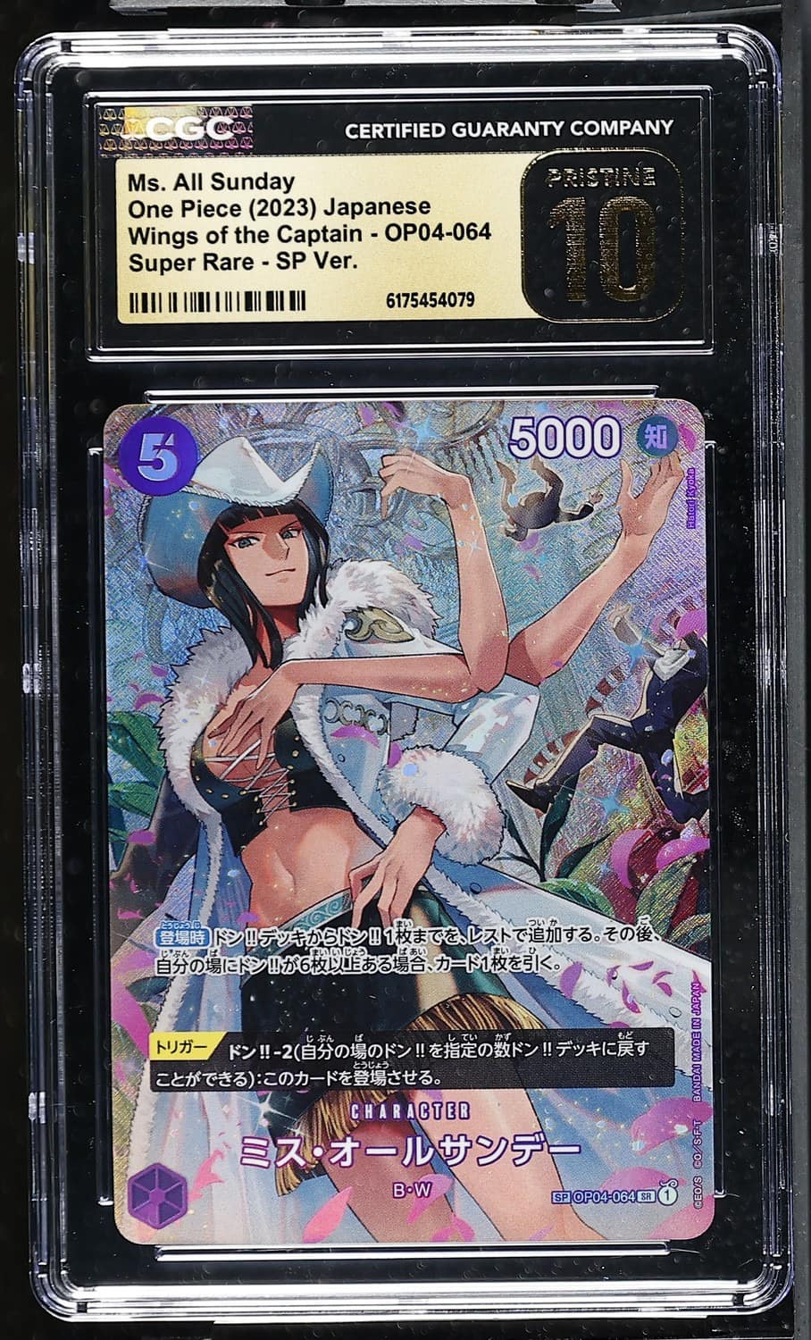 Ms. All Sunday Foil Sp