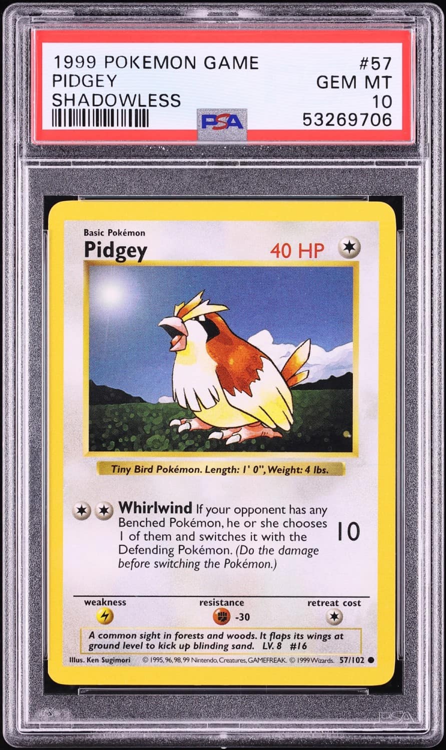 Pidgey