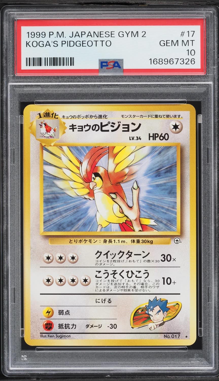 Koga'S Pidgeotto