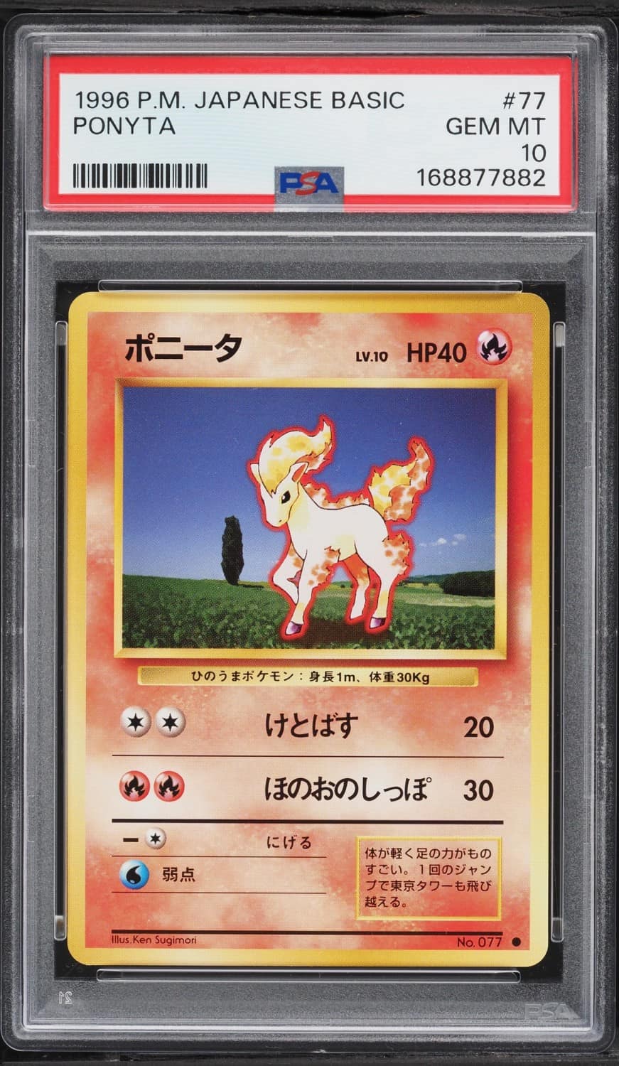 Ponyta
