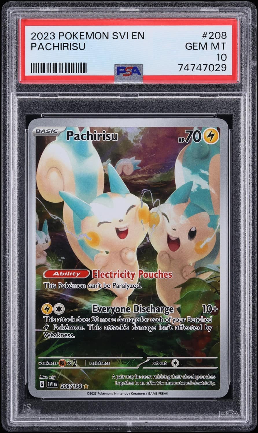Pachirisu