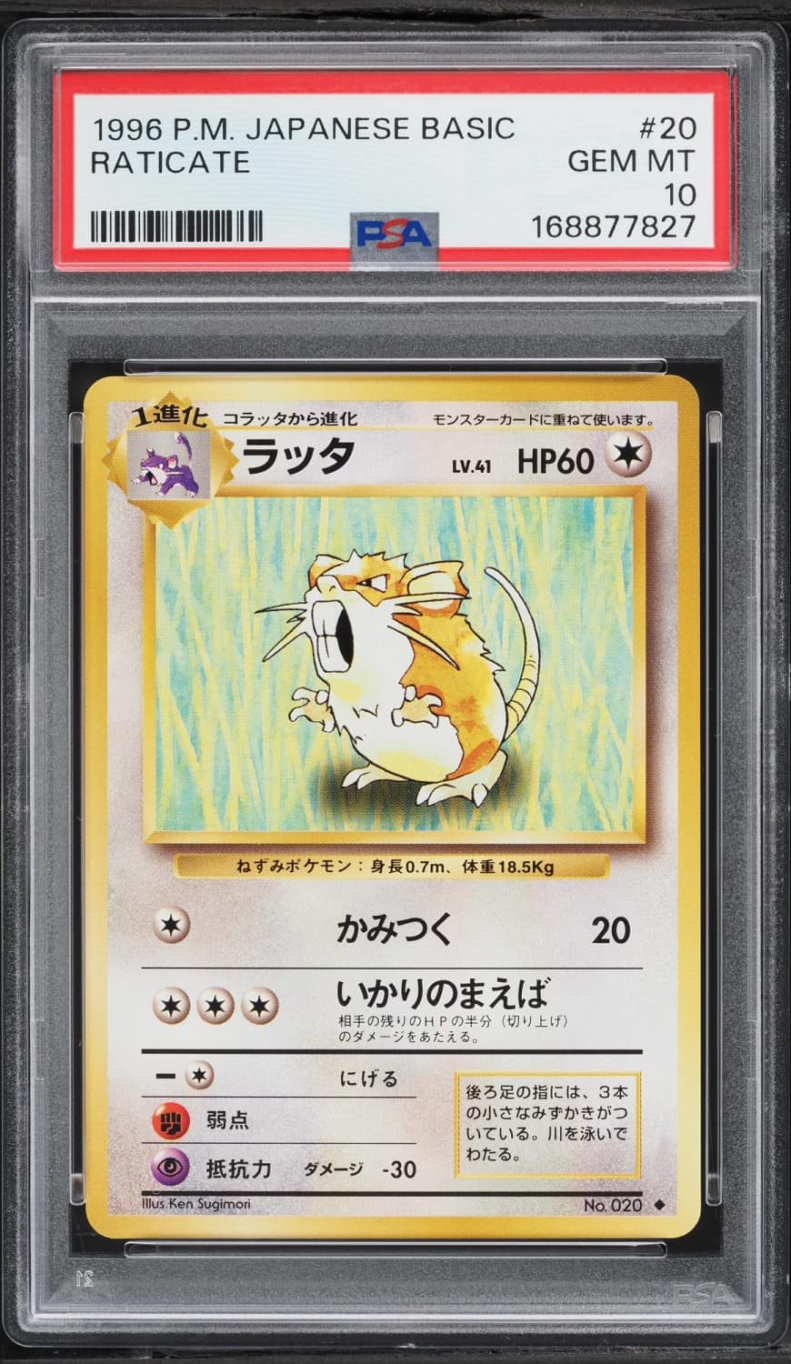 Raticate