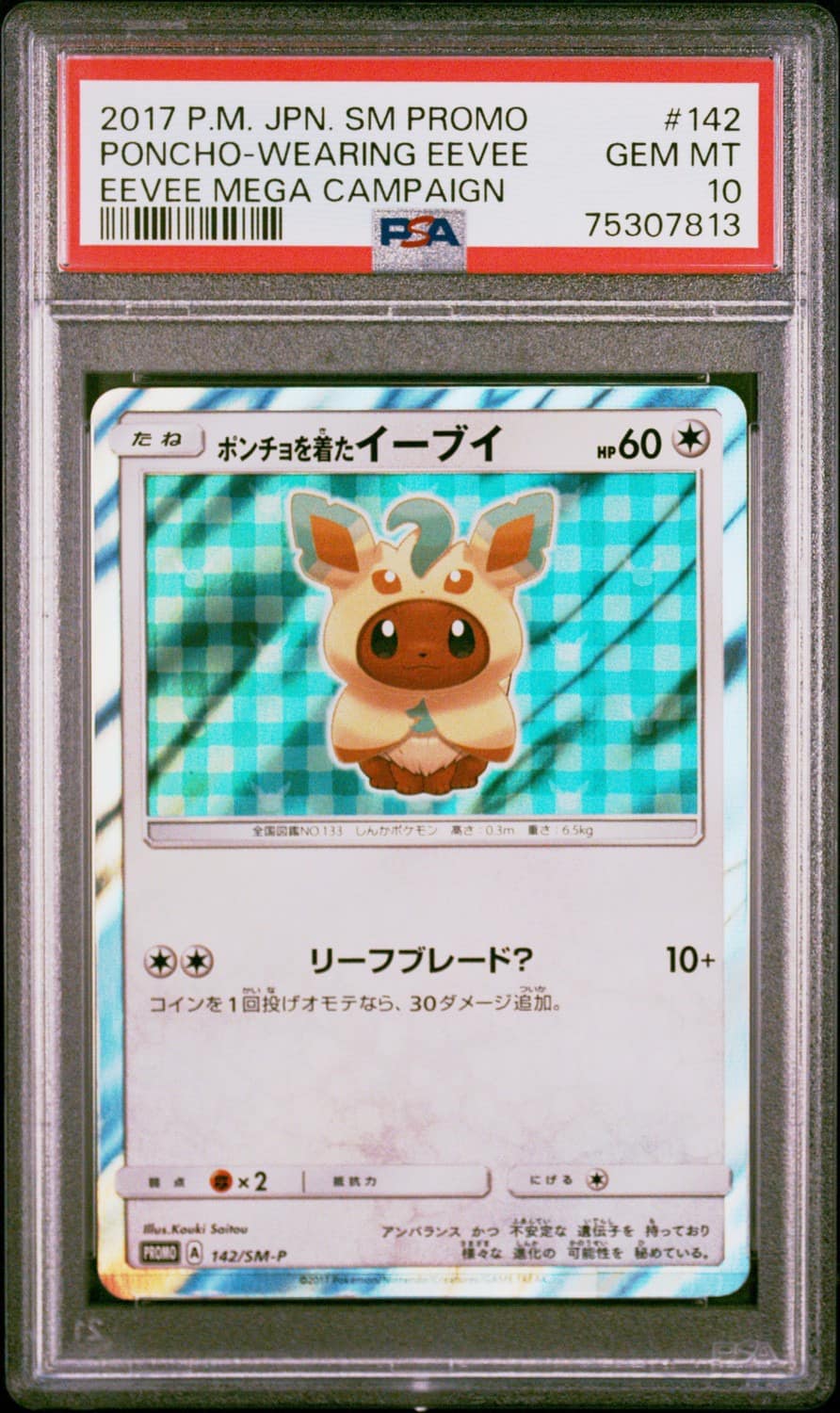 Poncho-Wearing Eevee