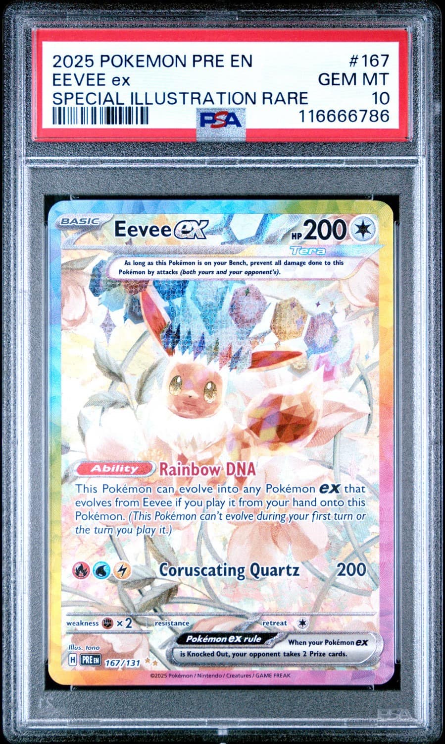 Eevee Ex