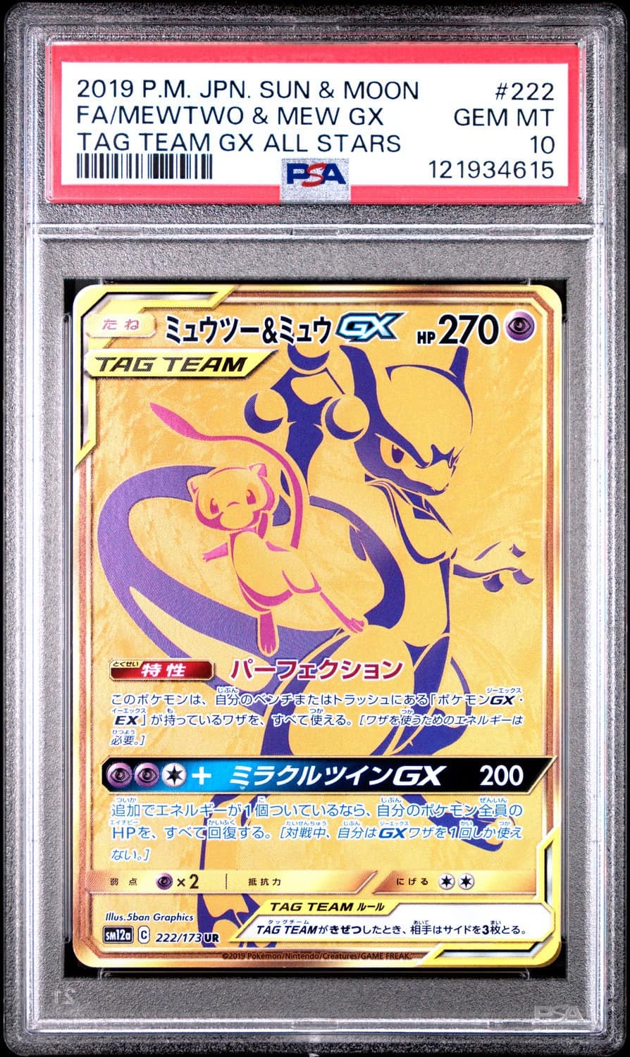 Mewtwo & Mew Gx