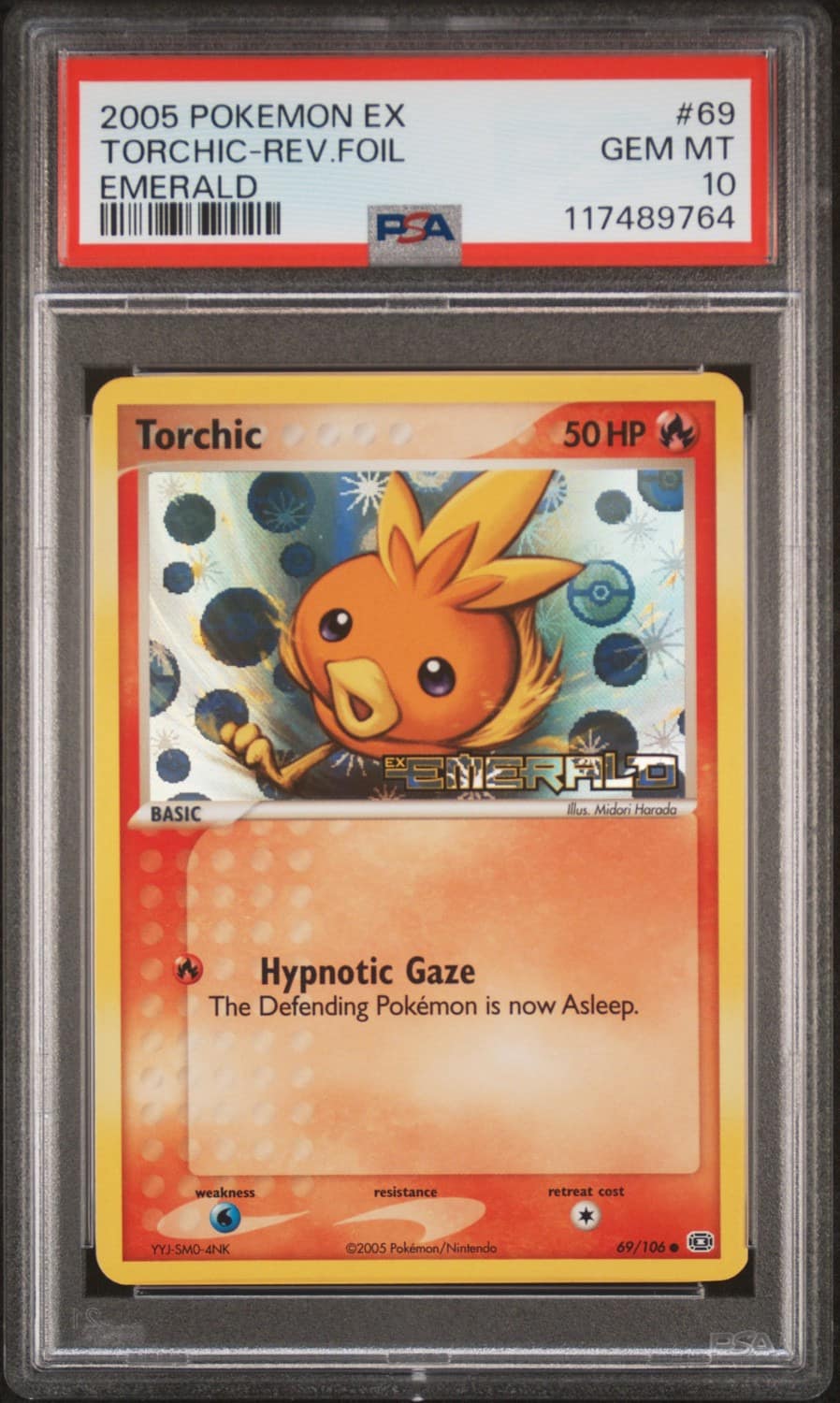 Torchic