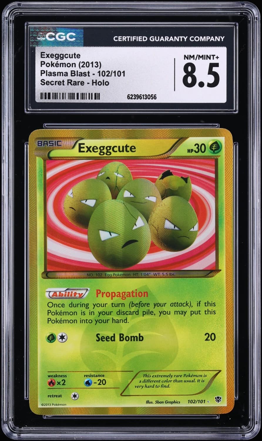 Exeggcute