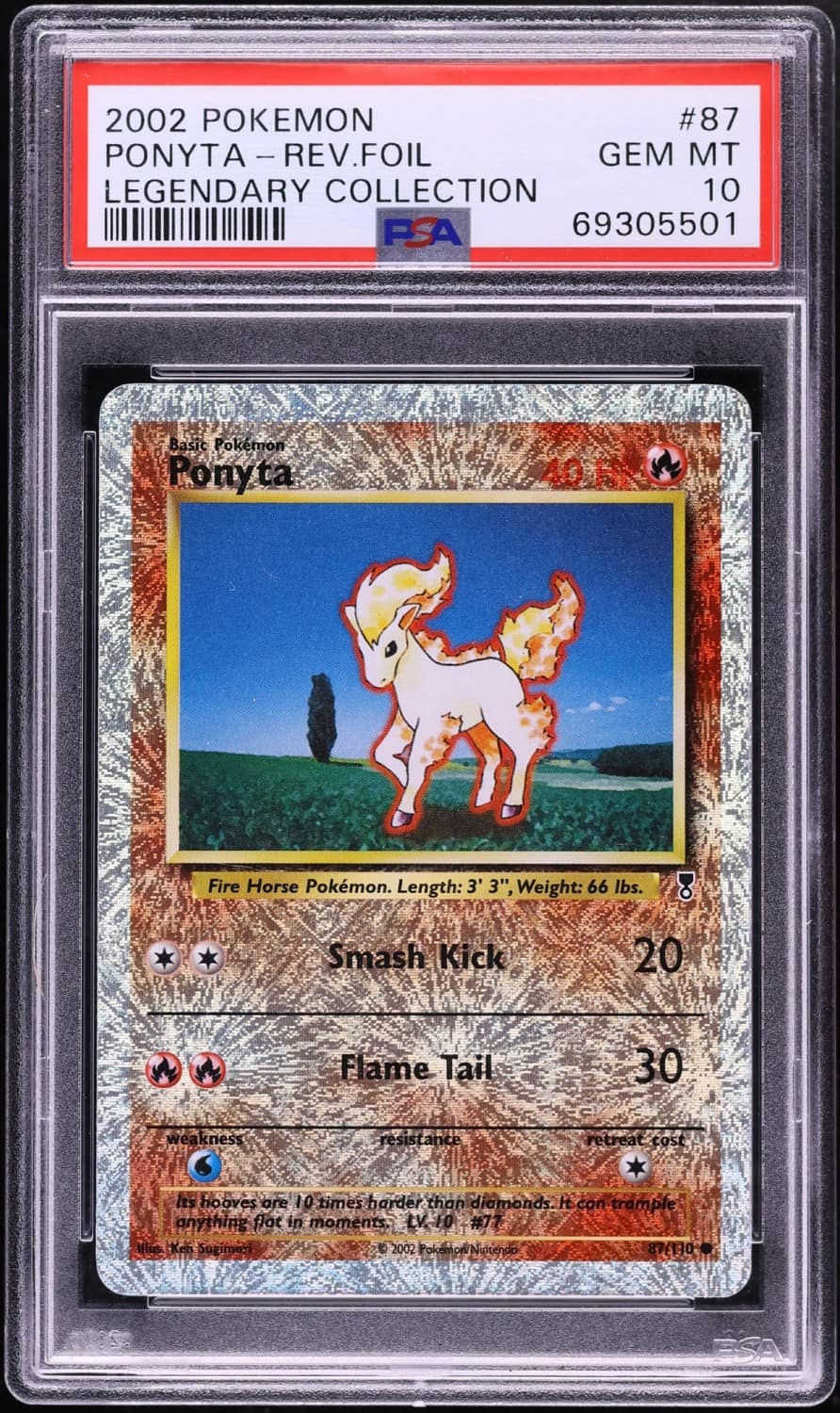Ponyta