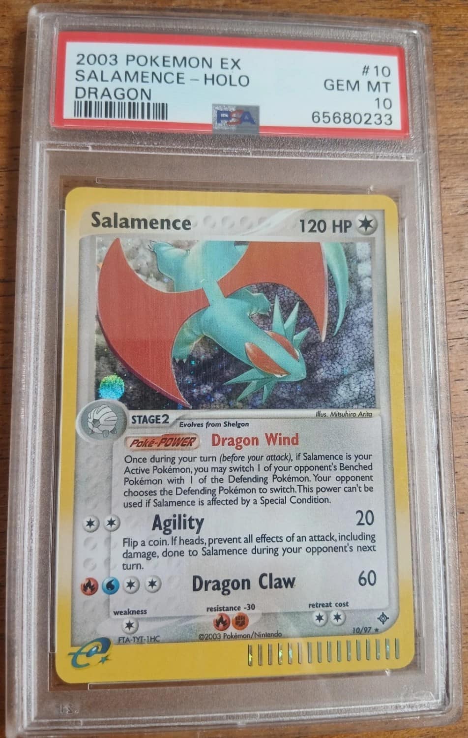 Salamence