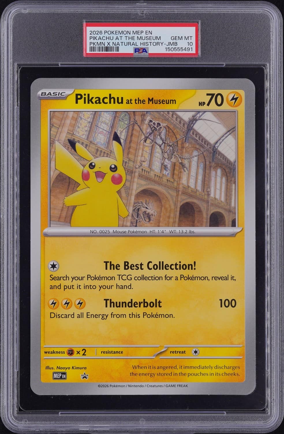 Pikachu At The Museum