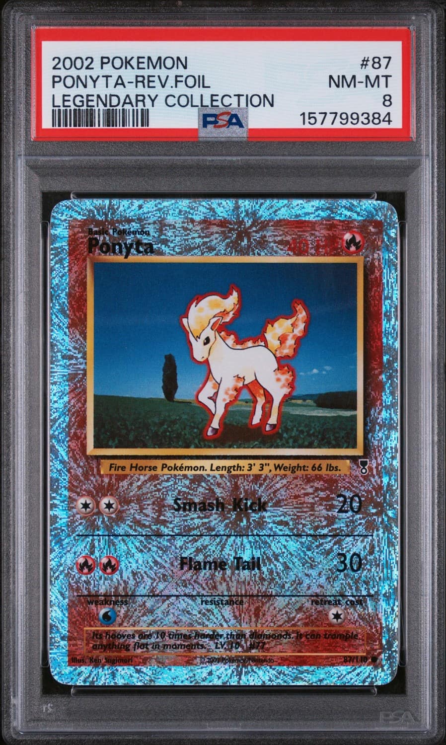 Ponyta