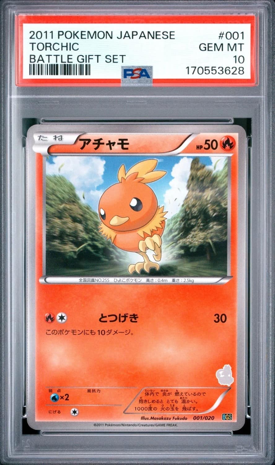 Torchic
