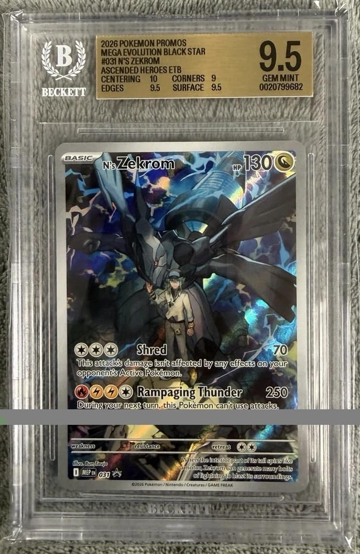 N'S Zekrom