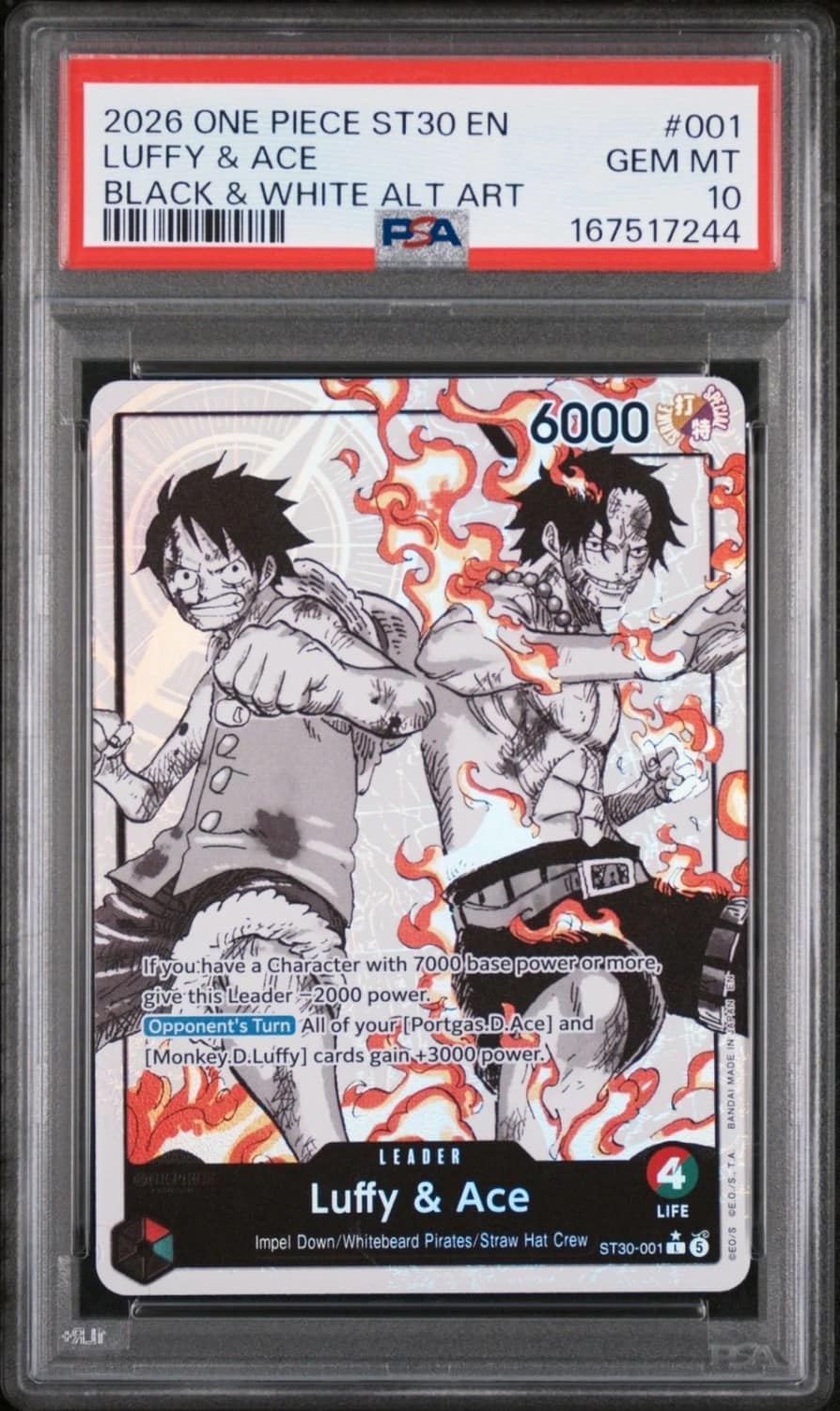 Luffy & Ace