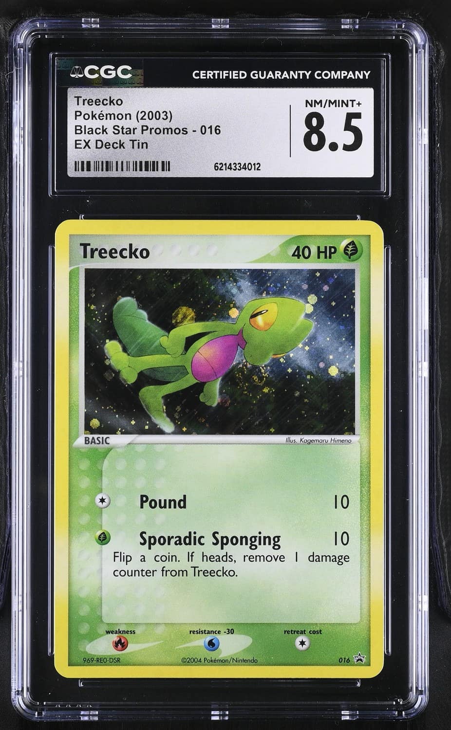 Treecko