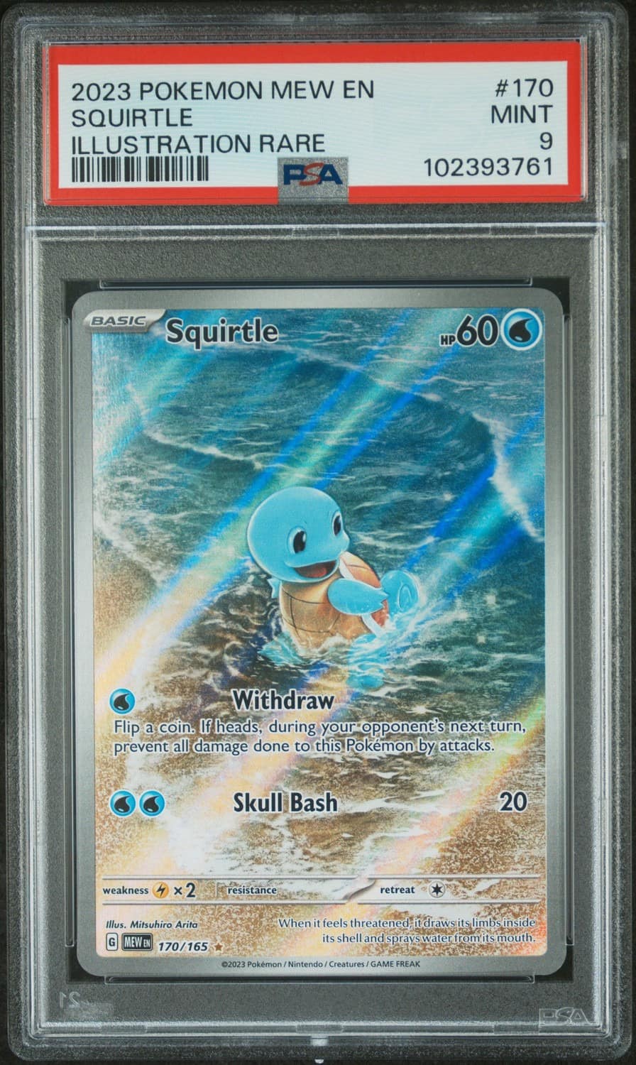 Squirtle