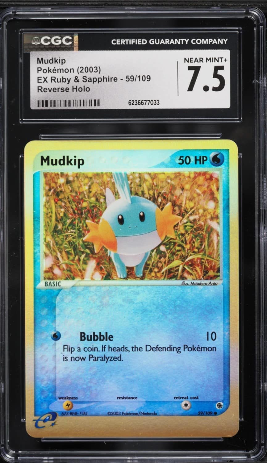 Mudkip