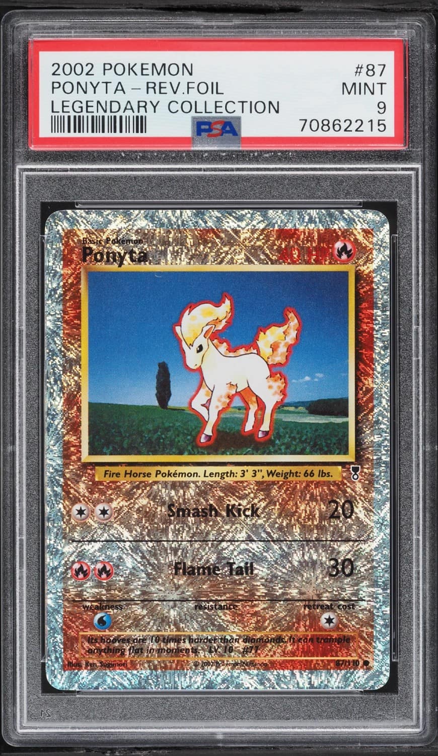 Ponyta