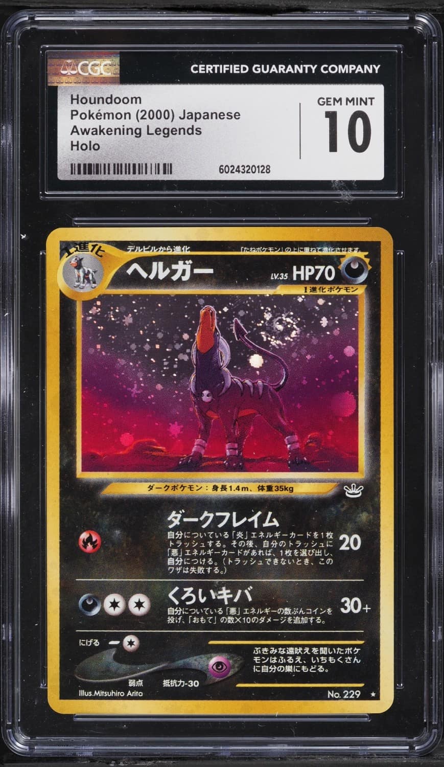 Houndoom