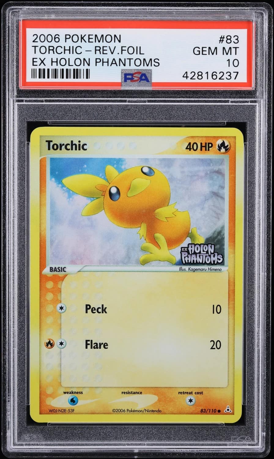 Torchic