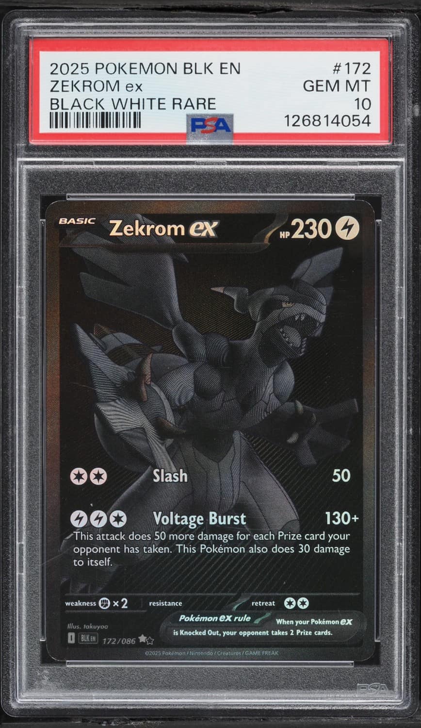 Zekrom Ex