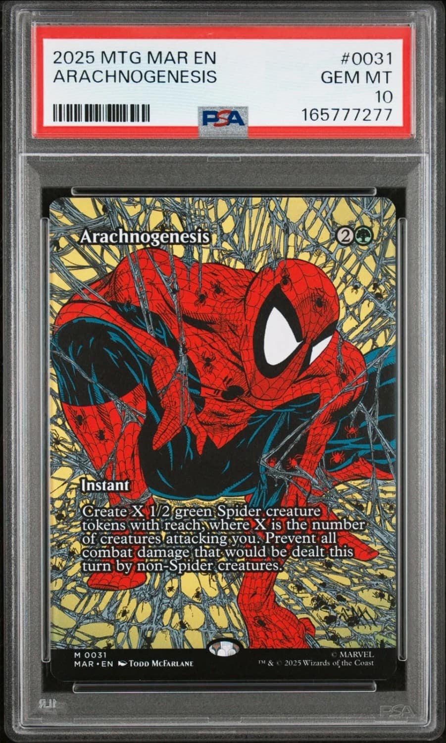 Arachnogenesis