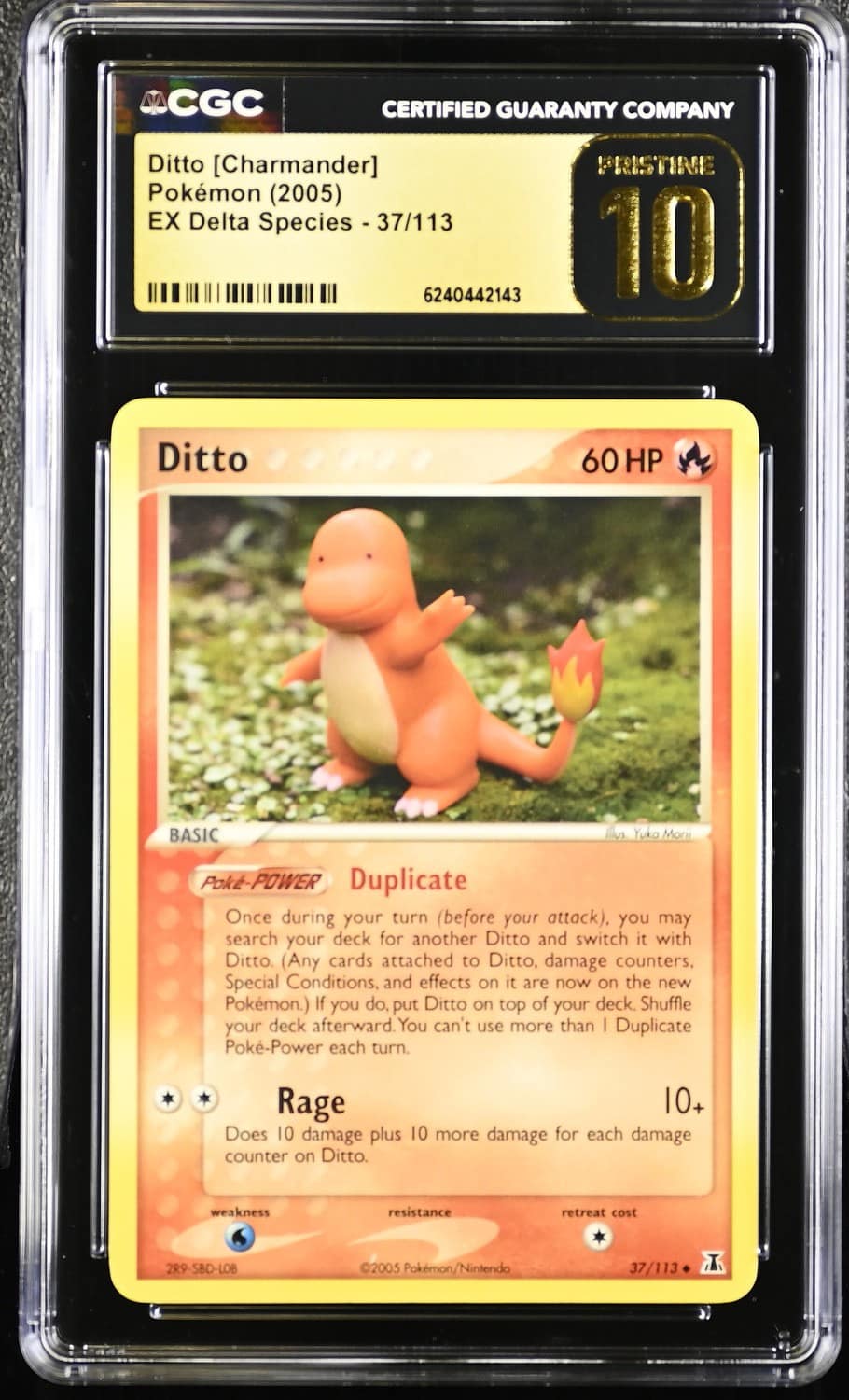 Ditto [charmander]