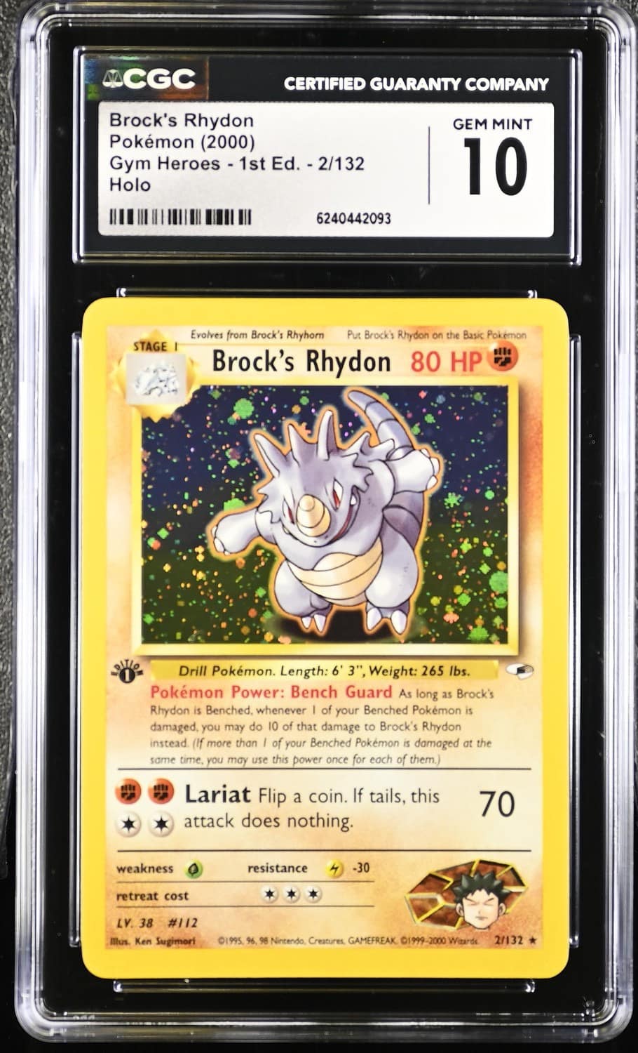 Brock'S Rhydon