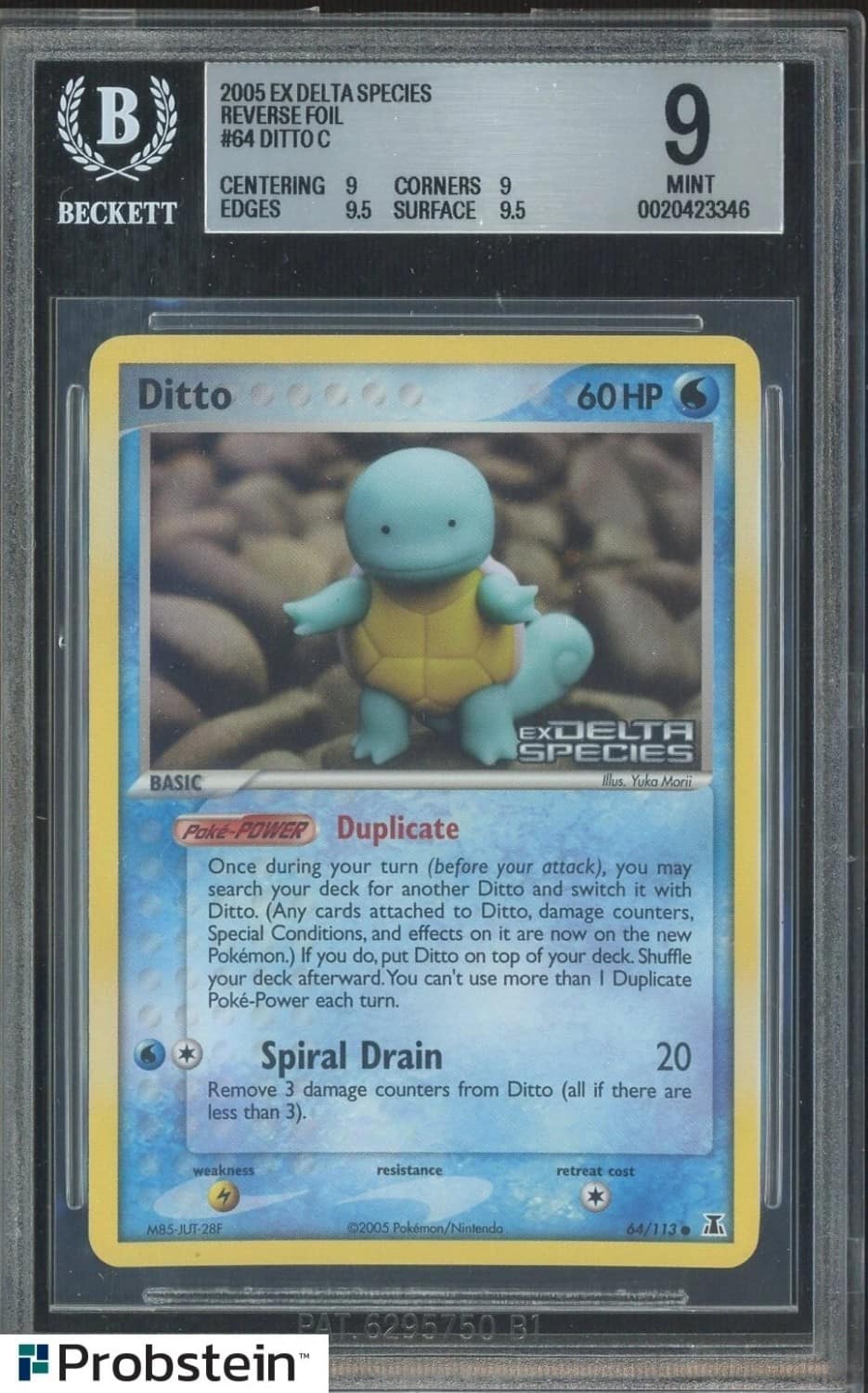 Ditto [squirtle]