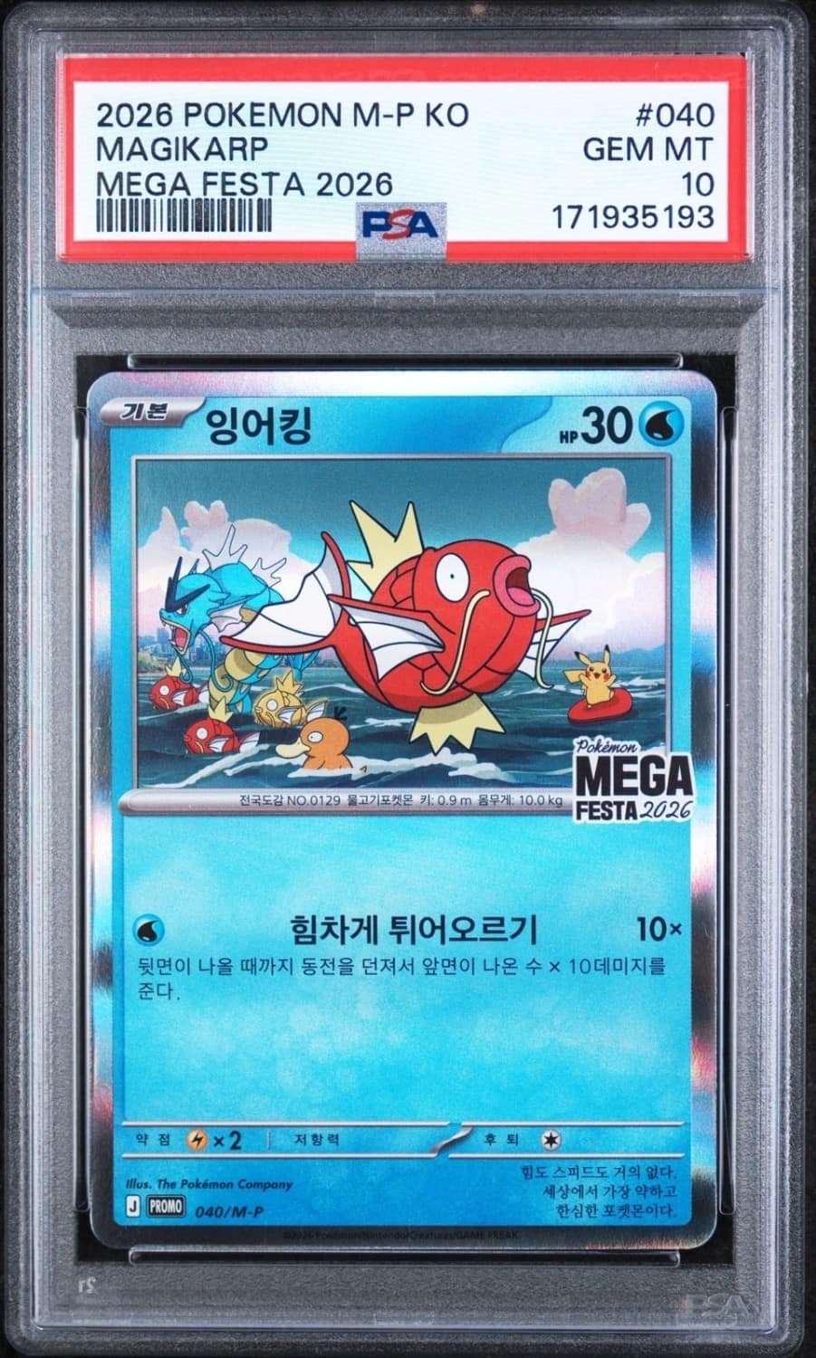Magikarp
