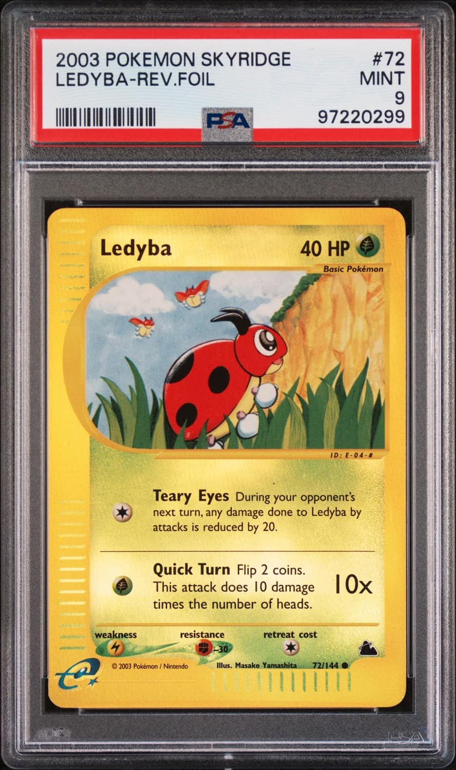 Ledyba