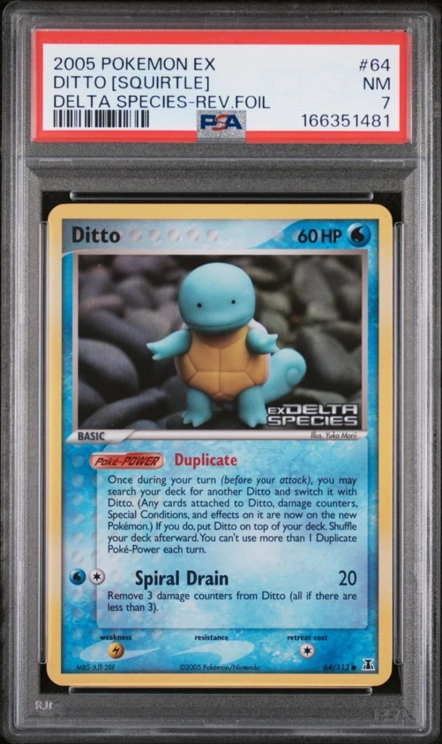 Ditto [squirtle]